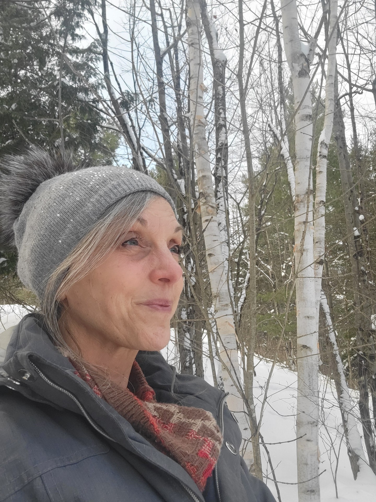 Amber - winter photo